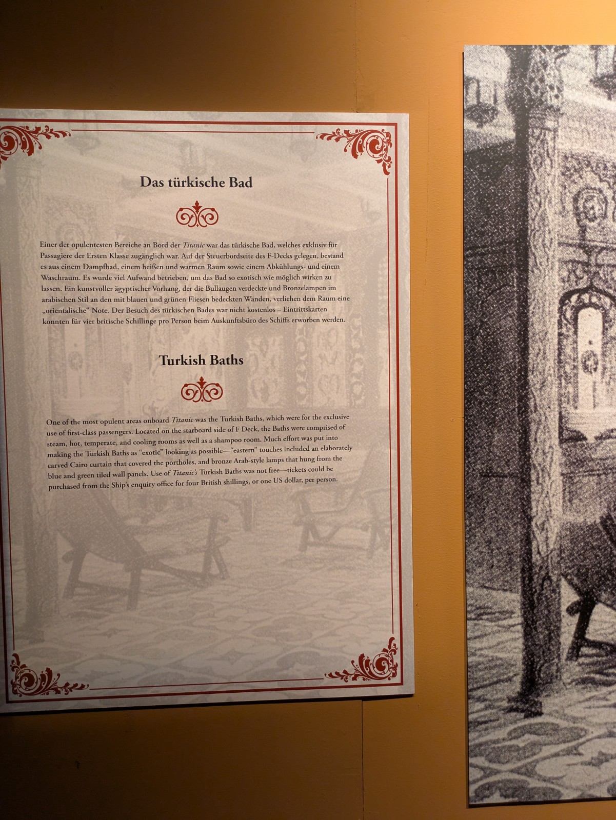 PXL 20241217 110653272